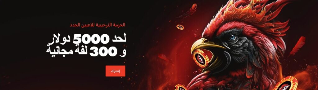 Rooster.Bet تقدّم واحدة من أقوى مكافآت الكازينو في الإمارات
